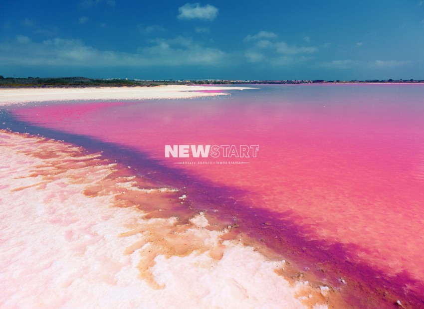 Nybyggnation - Låg bungalow - Torrevieja