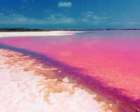 Nybyggnation - Låg bungalow - Torrevieja