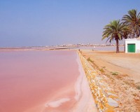 Nybyggnation - Lägenhet - San Pedro del Pinatar