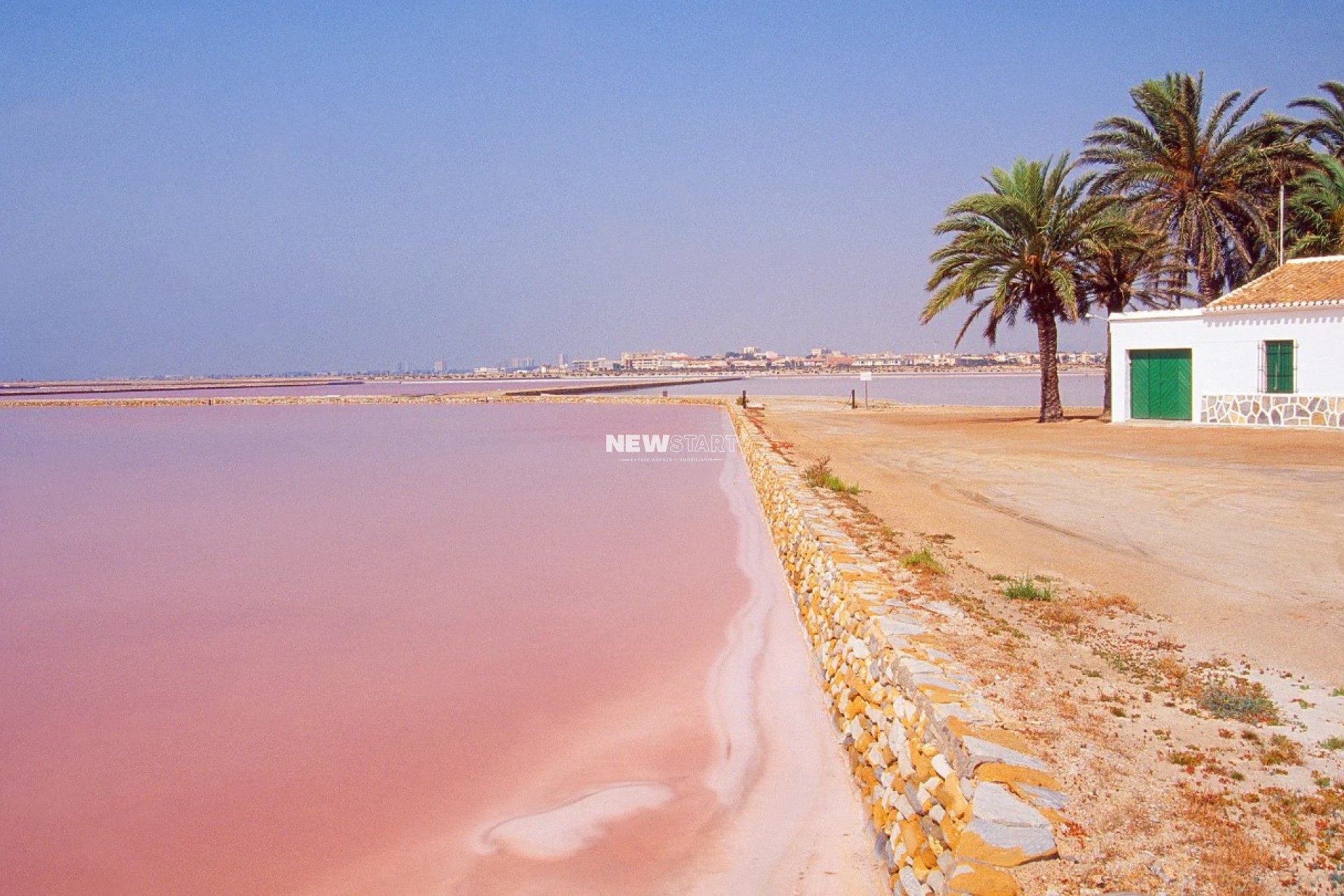 Nybyggnation - Lägenhet - San Pedro del Pinatar