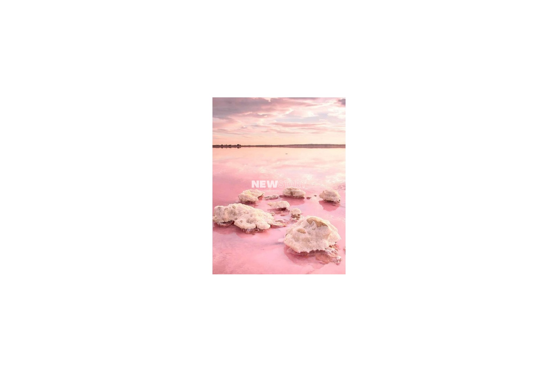 Nybyggnation - Lägenhet - Torrevieja