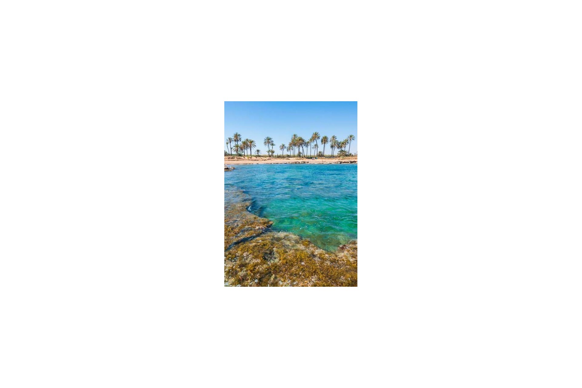 Nybyggnation - Takvåning - Torrevieja