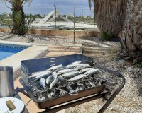 Nybyggnation - Terrasserad - San Javier