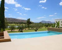 Nybyggnation - Villa - Algorfa