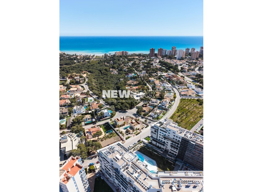 Nybyggnation - Villa - Dehesa de Campoamor