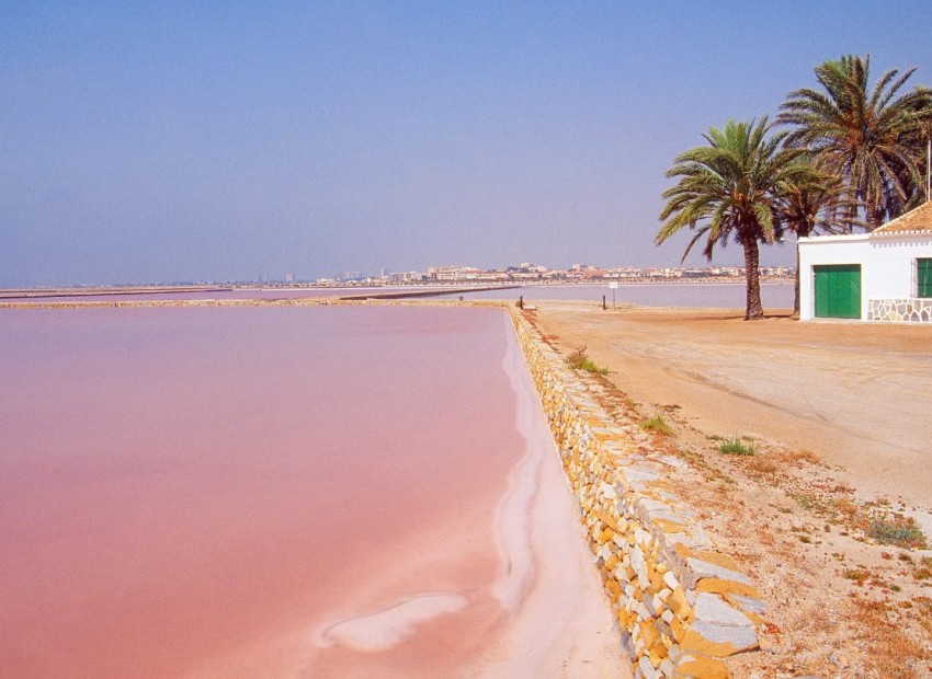 Obra nueva - Adosado - Pilar de la Horadada