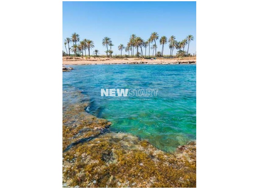 Obra nueva - Apartamento - Torrevieja