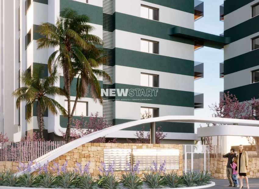 Obra nueva - Apartamento - Torrevieja
