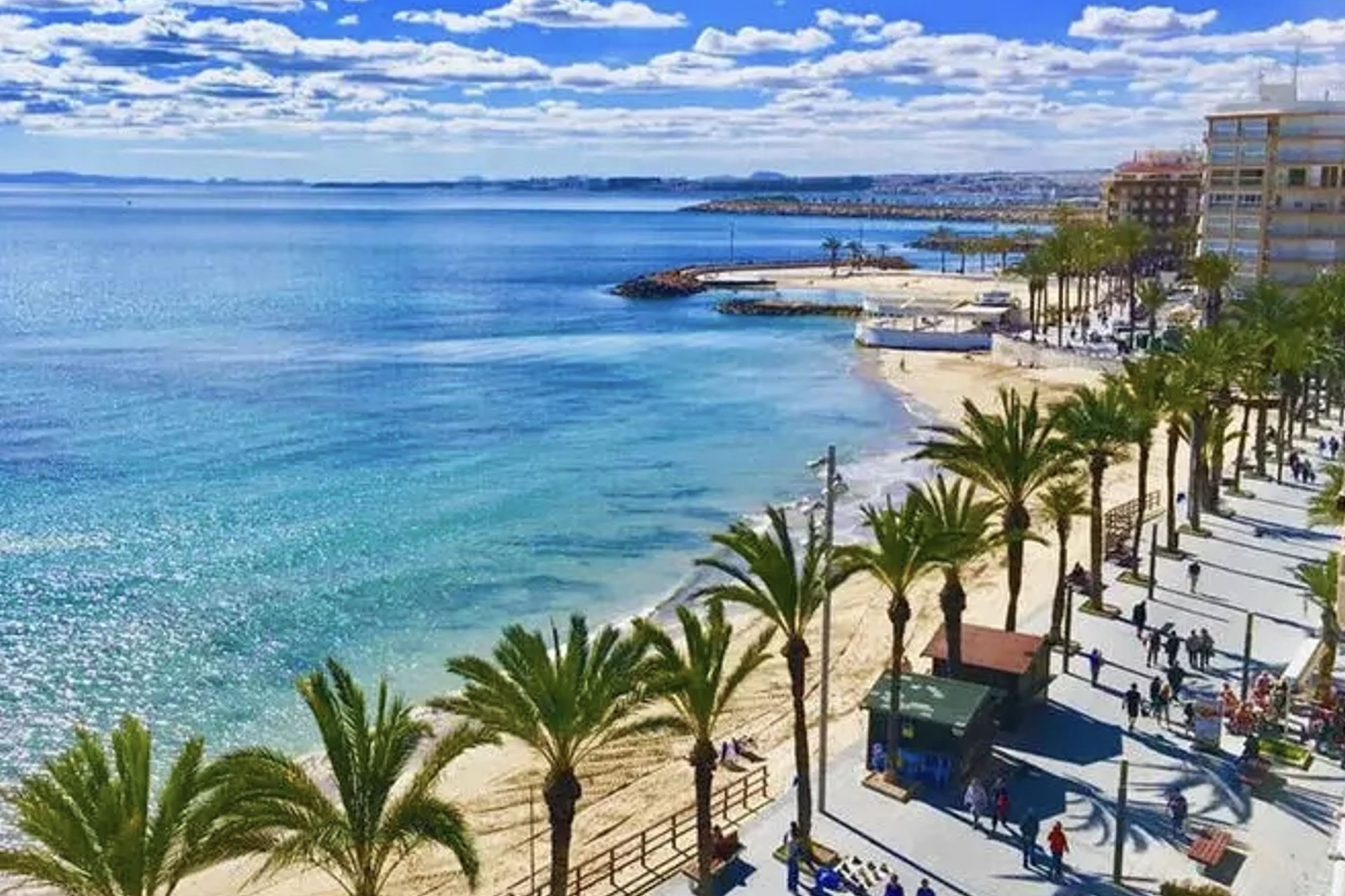 Obra nueva - Apartamento - Torrevieja