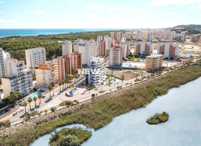 Obra nueva - Ático - Guardamar del Segura