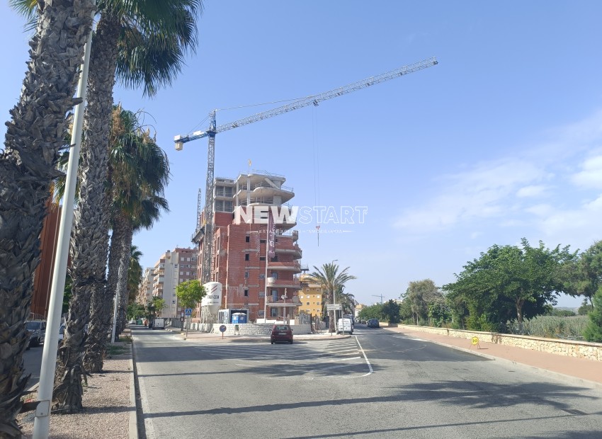 Obra nueva - Ático - Guardamar del Segura