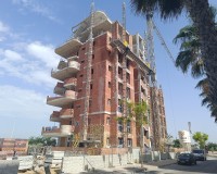 Obra nueva - Ático - Guardamar del Segura