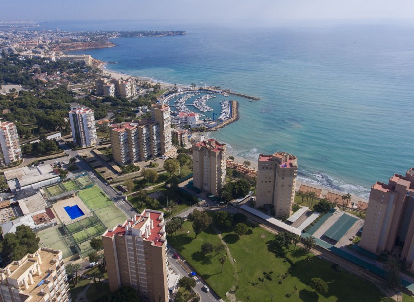 Obra nueva - Ático - Orihuela