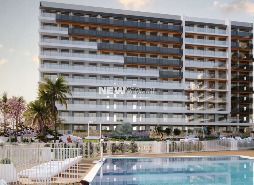 Obra nueva - Ático - Torrevieja