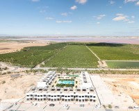Obra nueva - Bungalow alto - Torrevieja