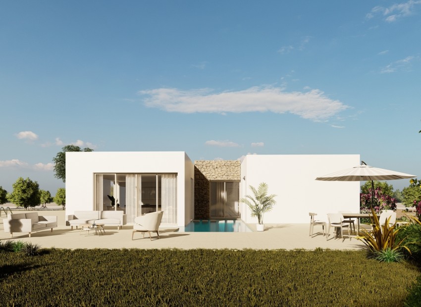Obra nueva - Independiente - Algorfa