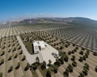 Obra nueva - Independiente - Algorfa