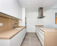 Obra nueva - Independiente - Daya Nueva