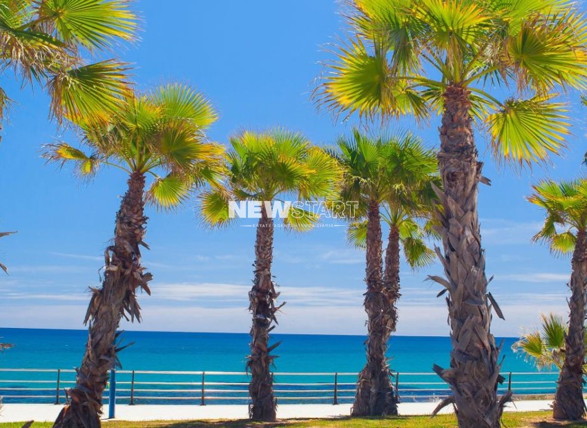 Obra nueva - Independiente - Orihuela Costa