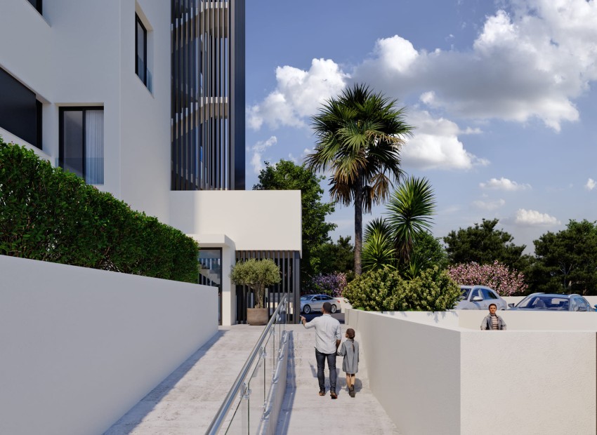 Obra nueva - Planta Baja - Guardamar del Segura