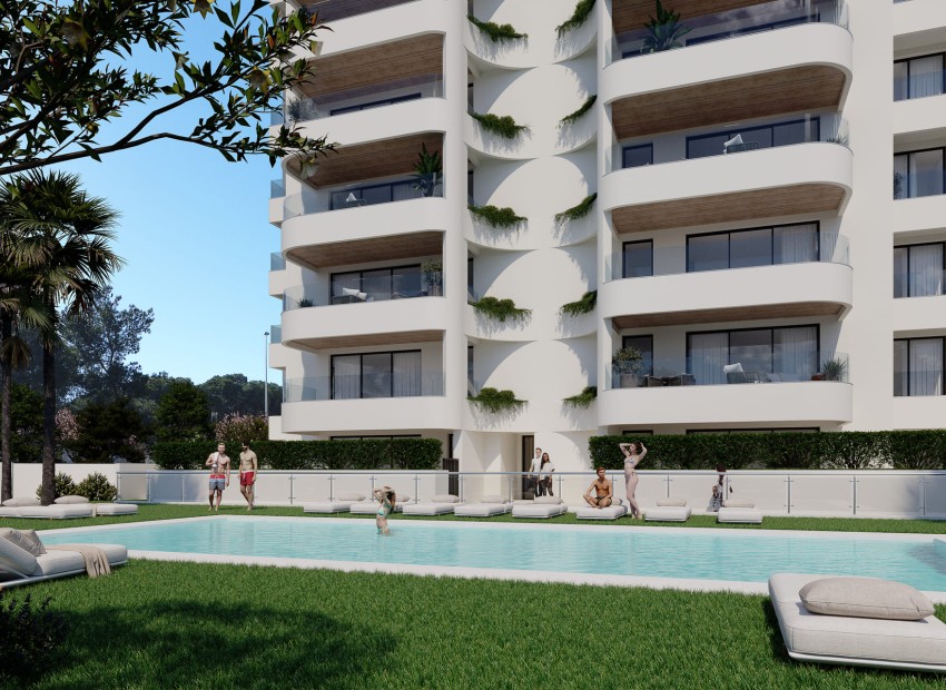 Obra nueva - Planta Baja - Guardamar del Segura