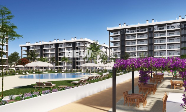 Penthouse - New Build - Torrevieja - Torrevieja