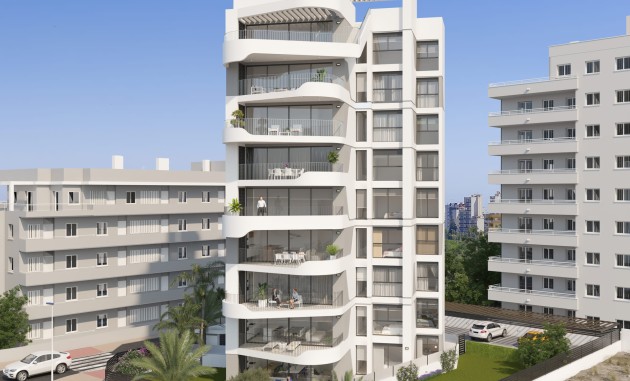 Planta Baja - Obra nueva - Guardamar del Segura - Guardamar del Segura
