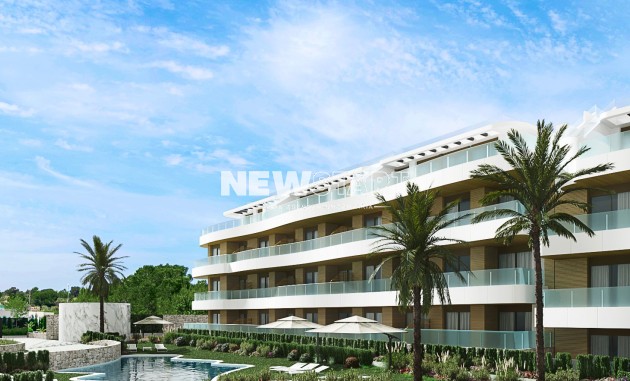 Planta Baja - Obra nueva - Playa Flamenca - Playa Flamenca