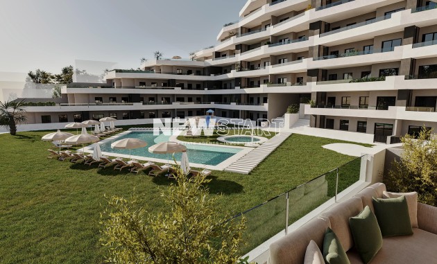Planta Baja - Obra nueva - San Miguel de Salinas - San Miguel de Salinas