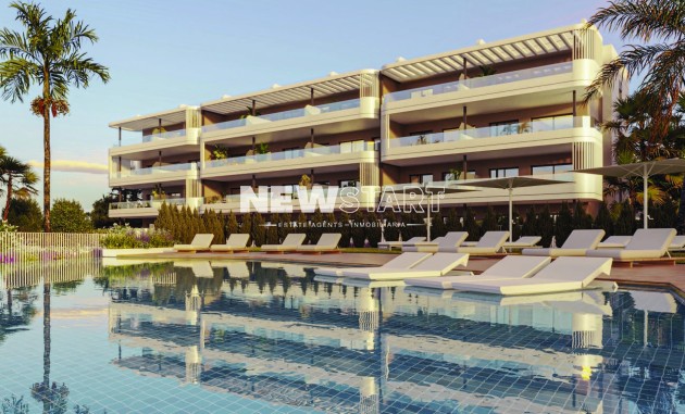 Planta Baja - Obra nueva - Torrevieja - Torrevieja