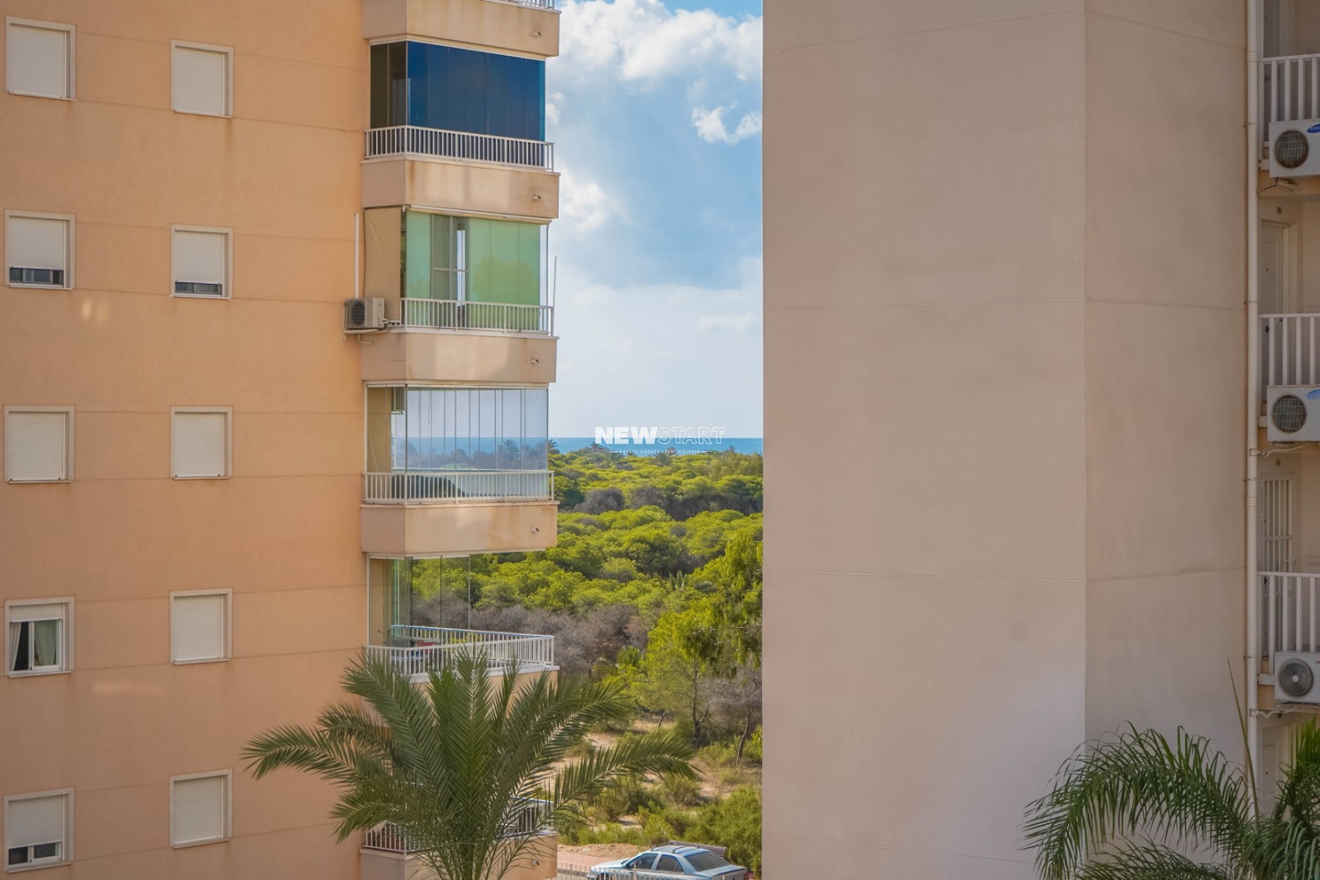 Resale - Apartment - Guardamar del Segura
