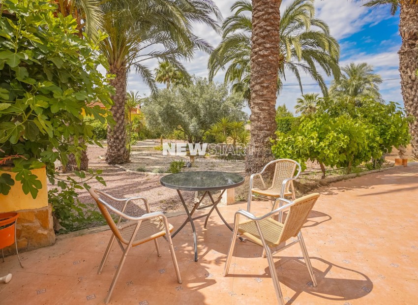 Resale - Country House-Finca - Elche - Daimes