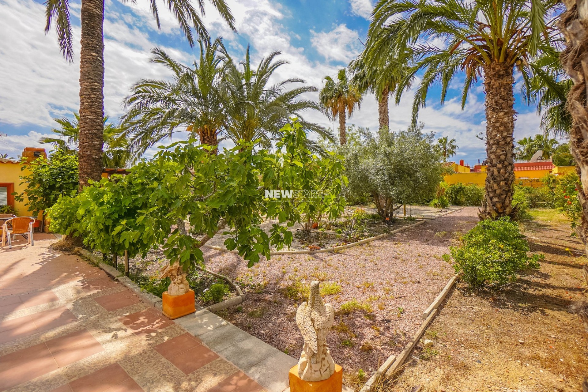 Resale - Country House-Finca - Elche - Daimes
