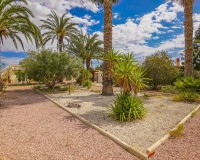 Resale - Country House-Finca - Elche - Daimes