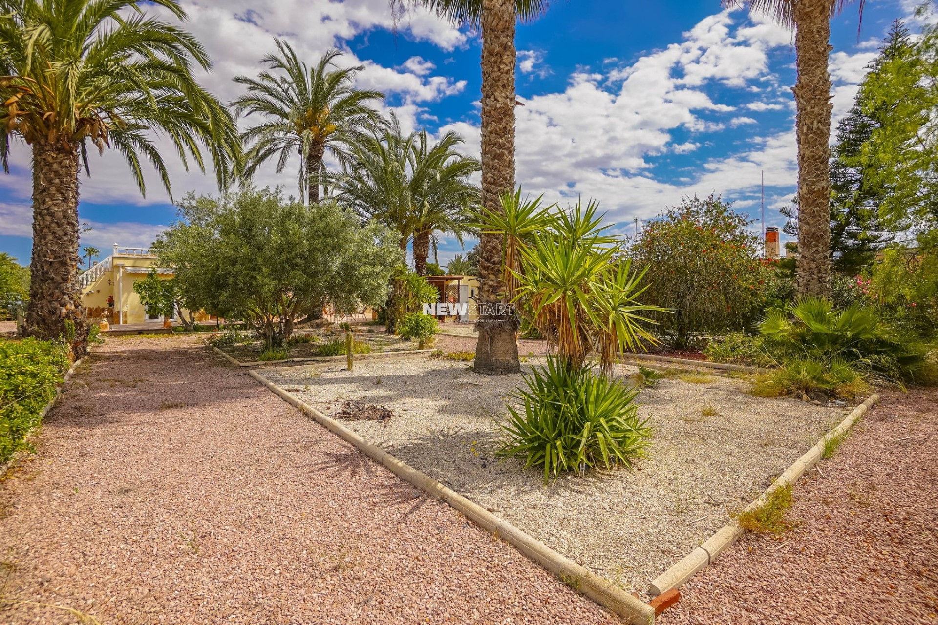 Resale - Country House-Finca - Elche - Daimes