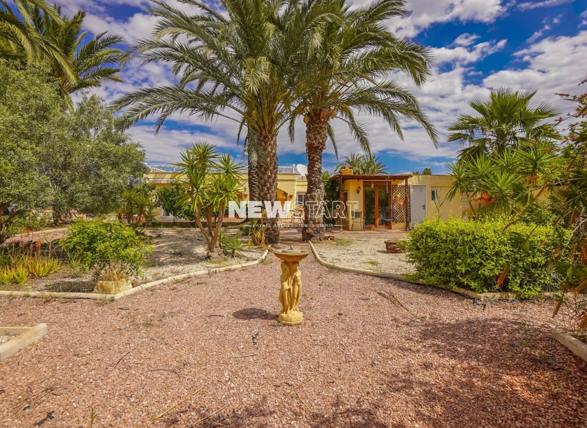 Resale - Country House-Finca - Elche - Daimes
