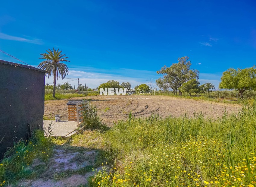 Resale - Country House-Finca - La Marina - Urb. La Marina