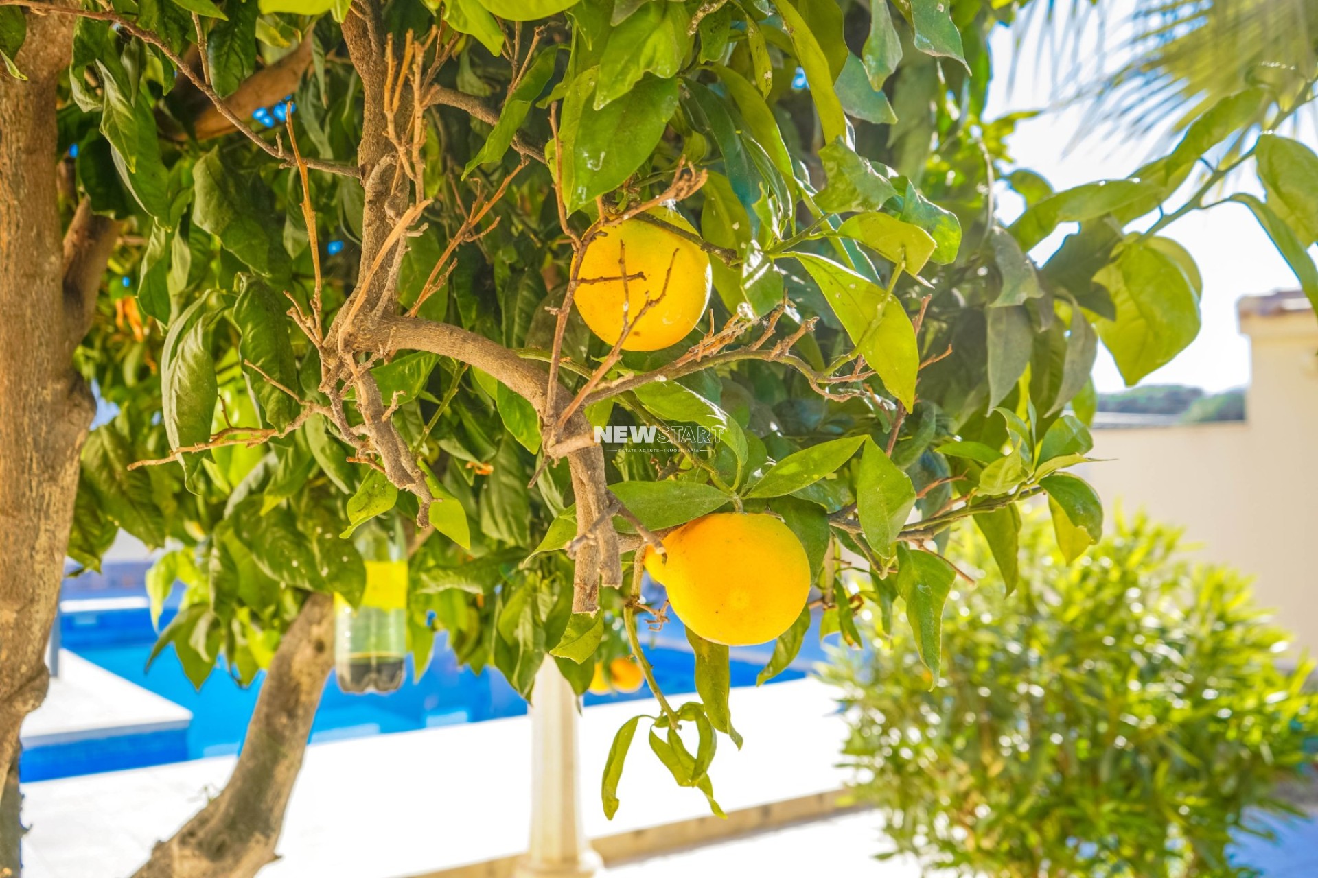 Resale - Detached - La Marina - Urb. El Oasis