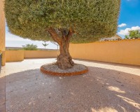 Resale - Detached - La Marina - Urb. La Escuera