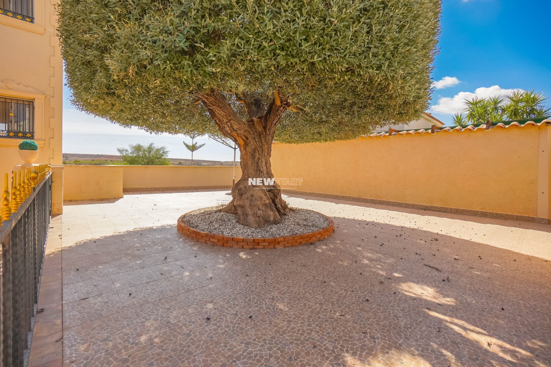 Resale - Detached - La Marina - Urb. La Escuera