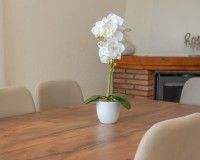 Resale - Detached - La Marina - Urb. La Escuera