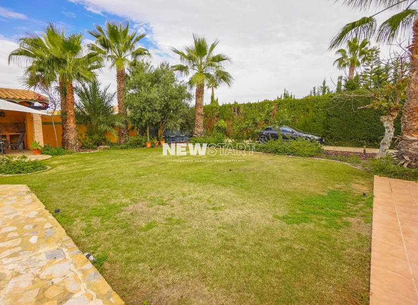 Resale - Detached - La Marina - Urb. La Escuera