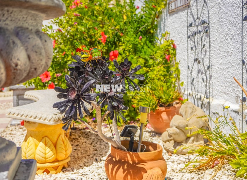 Resale - Detached - La Marina - Urb. La Marina
