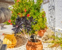 Resale - Detached - La Marina - Urb. La Marina