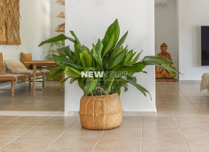 Resale - Detached - La Marina - Urb. La Marina
