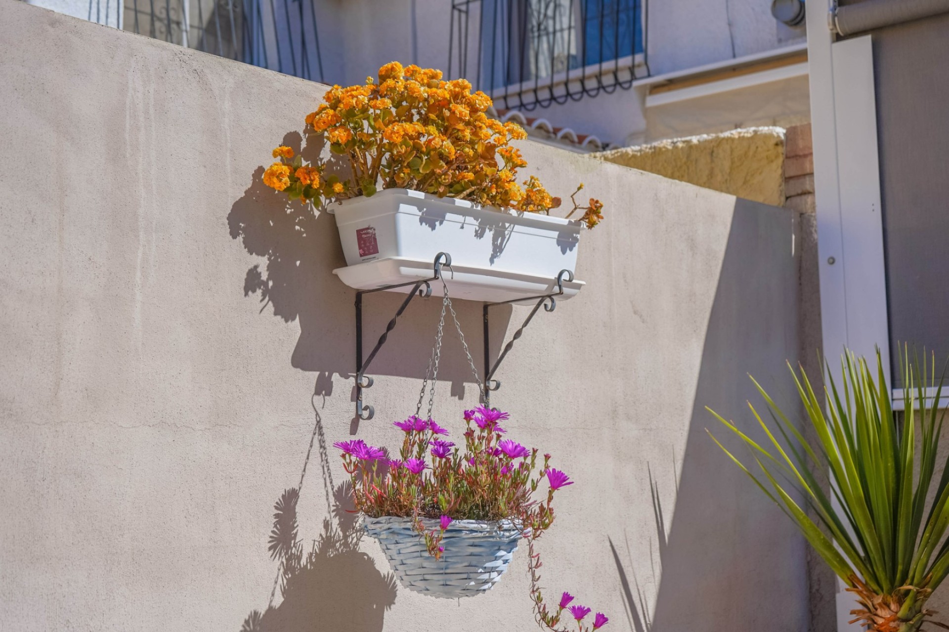 Resale - Detached - La Marina - Urb. La Marina