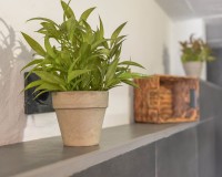 Resale - Independent Villa - La Marina - Urb. La Marina