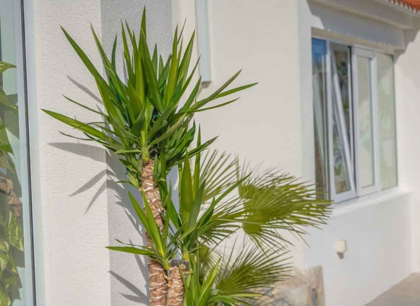 Resale - Independent Villa - La Marina - Urb. La Marina