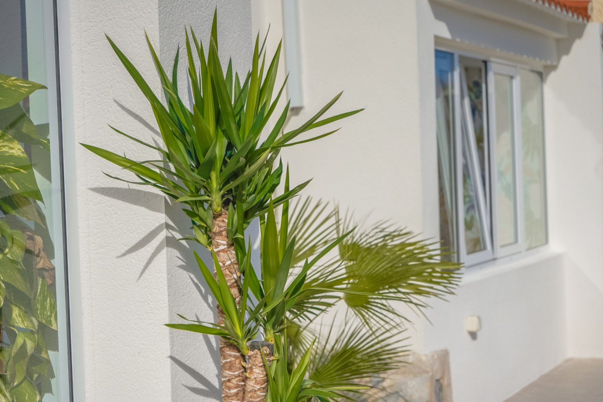 Resale - Independent Villa - La Marina - Urb. La Marina