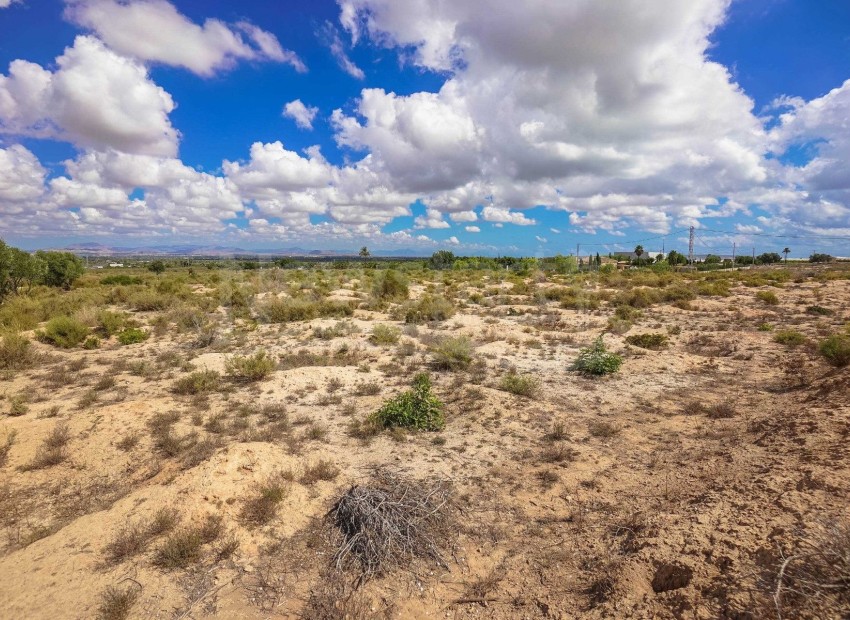 Resale - Plot / Land - Elche - Partida Marina
